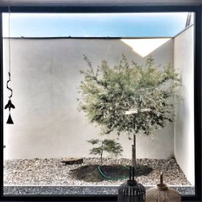 Atrium 